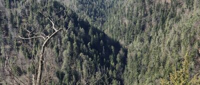 Tomášovský výhľad