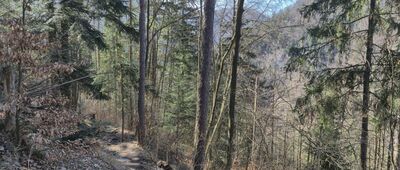 Pri Tomášovskom výhľade, rázc.