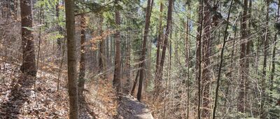 Pri Tomášovskom výhľade, rázc. ↔ Pod Tomášovským výhľadom