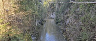 Lesnica, ústie ↔ Čingov