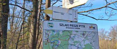 Bydgoszcz, ul. Lewińskiego