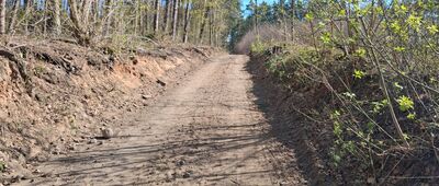 Las Jastrzębie ↔ Bydgoszcz, Nowy Fordon