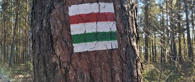 Las Jastrzębie ↔ Bydgoszcz, Nowy Fordon