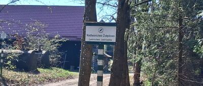 Las Jastrzębie ↔ Bydgoszcz, Nowy Fordon