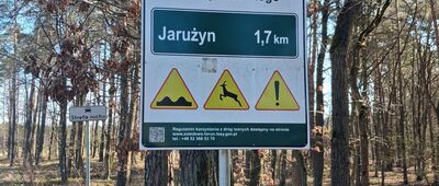 Droga pożarowa 9 ↔ Las Jastrzębie