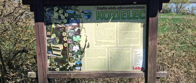 Kozielec, stary cmentarz ewangelicki