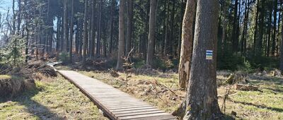 Karłów, Machowska Droga ↔ Karłów, skrzyżowanie szlaków