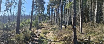 Skalna Furta ↔ Kręgielny Trakt