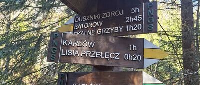 Skalna Furta