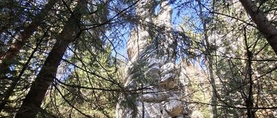 Skalna Furta