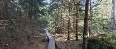 Skalna Furta