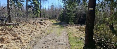 Dylówka, skrzyżowanie szlaków ↔ Pod Zbójem, skrzyżowanie szlaków niebieski / żółty