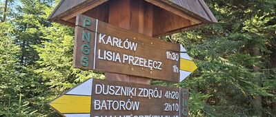 Pod Zbójem, skrzyżowanie szlaków niebieski / żółty