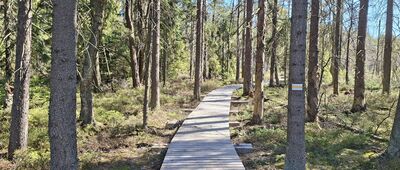 Niknąca Łąka ↔ Niknąca Łąka