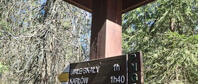 Skalne Grzyby, odejście ścieżki edukacyjnej