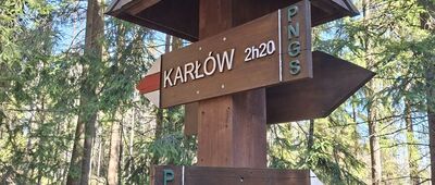 Skalne Grzyby, skrzyżowanie przy Borowiku