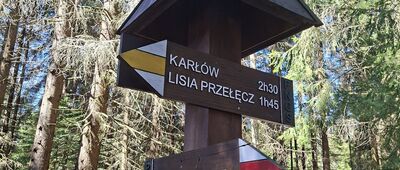 Skalne Grzyby, skrzyżowanie przy Borowiku