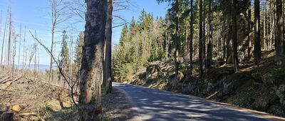 Radkowskie Skały, parking ↔ Stroczy Zakręt