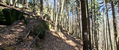 Rozdroże pod Basztami