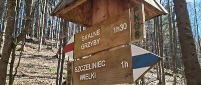 Rozdroże nad Skalnymi Wrotami