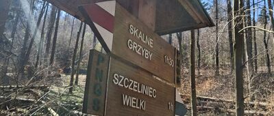 Rozdroże nad Skalnymi Wrotami