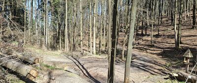 Rozdroże nad Skalnymi Wrotami