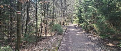 Obejście Szczelińca Małego ↔ Droga u podnóża Szczelińca Wielkiego