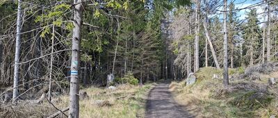 Obejście Szczelińca Małego