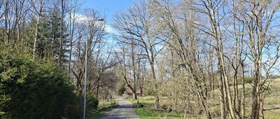 Pasterka ↔ Pasterka, leśniczówka