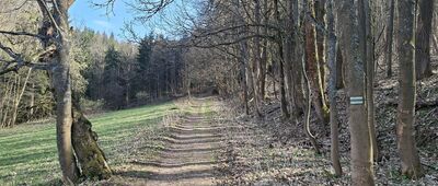 Pod Pustelnikiem ↔ Pasterka, leśniczówka