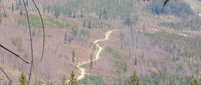 Kyrkawica ↔ Kiczory