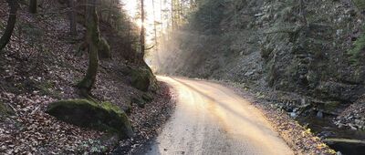 Wisła, Czarne ↔ Droga do Barańskiego Mostu [Słonko wita! Po prawej Biała Wisełka i flisz karpacki.]