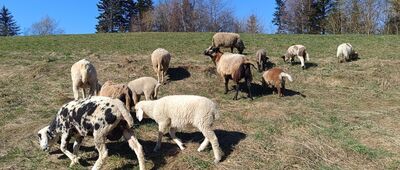 Młyńczyska ↔ Pod Modynią