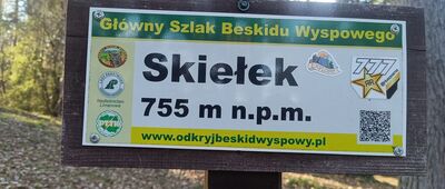 Skiełek