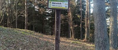 Skiełek