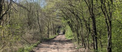 Źródliska w Rudach ↔ Solec Kujawski, ul. Do Białej Góry