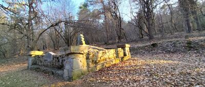 Przełęcz Beskid nad Ożenną ↔ Czeremcha, pasmo graniczne