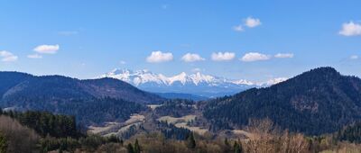 Palenica [Taras na Palenicy z widokiem na Tatry]