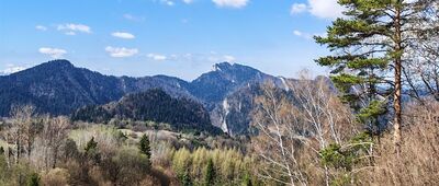 Palenica [I z widokiem na Pieniny.]