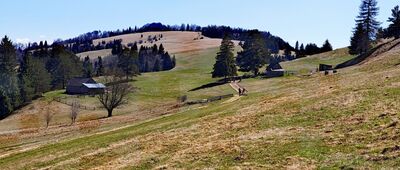 Pod Huściawą ↔ Skrzyżowanie pod Wysokim Wierchem [Bacówki pod Wysokiem Wierchem.]