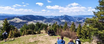 Šlachovky, granica ↔ Wysoki Wierch [Panorama na Pieniny, Gorce i Beskidy]