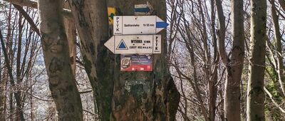 Pod Wysoką [Już niedaleko szczyt :)]