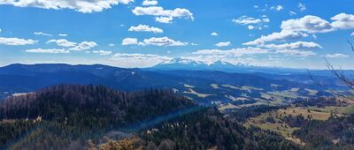 Pod Wysoką ↔ Wysoka [Taras pośredni pod Wysoką.]