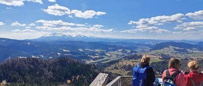 Wysoka [Wysoka. Widok na Tatry.]