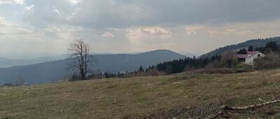 Skrzętla-Rojówka ↔ Jaworz