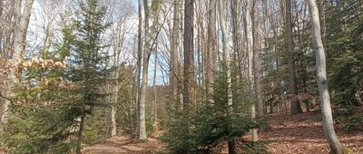 Kretówki ↔ Rozejście szlaków