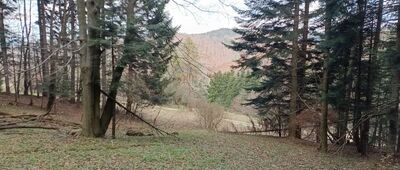 Rozejście szlaków ↔ Podmakowica
