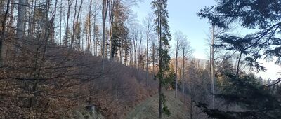 Rozejście szlaków ↔ Polana Skałka