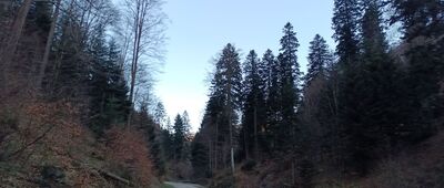 Roztoka Mała ↔ Rozejście szlaków