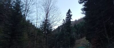 Roztoka Mała ↔ Rozejście szlaków